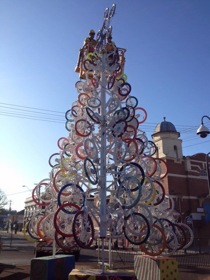 Lismore bike tree (via Facebook)