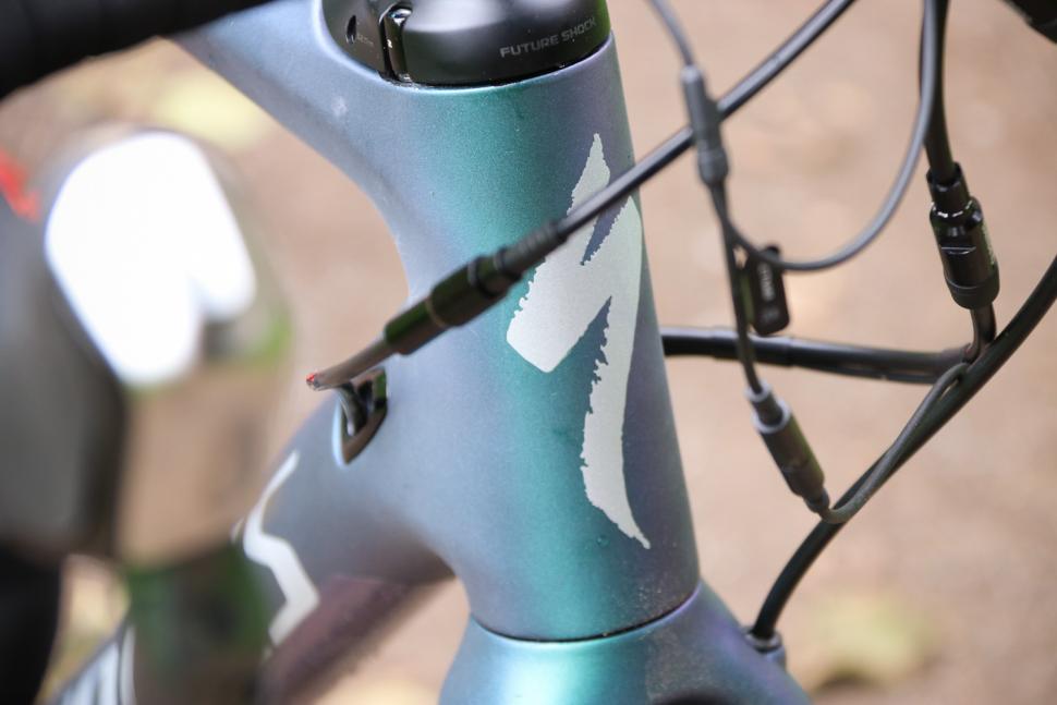 Specialized S-Works Diverge - head tube badge.jpg