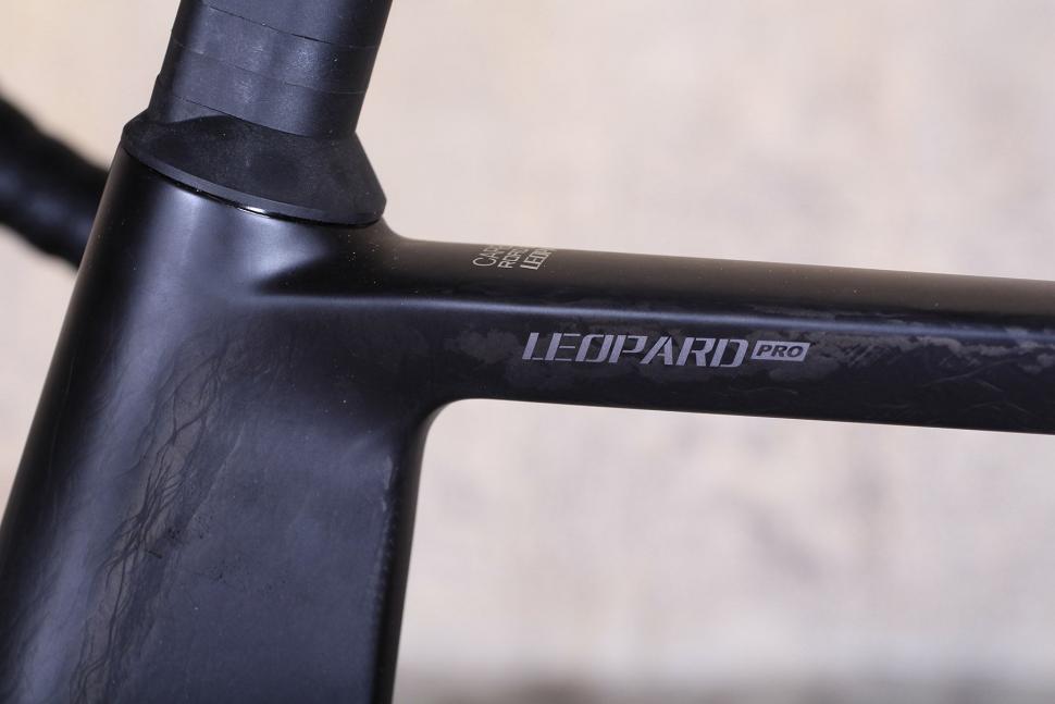 SpeedX Leopard Pro - frame close up.jpg