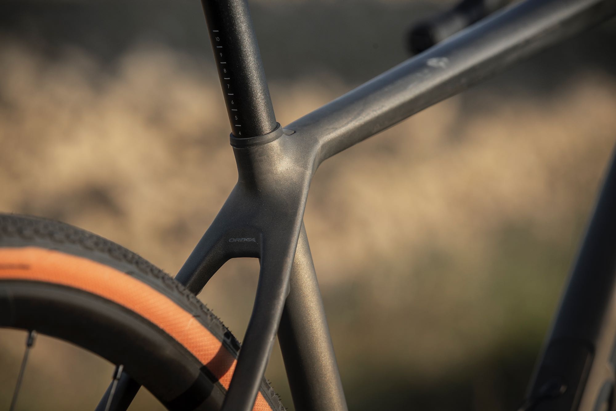 orbea terra frameset