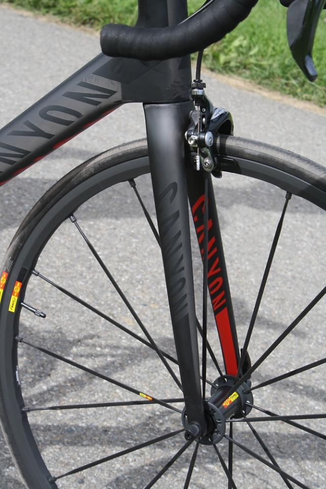 canyon ultimate fork