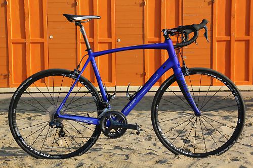 raleigh folding bike blue