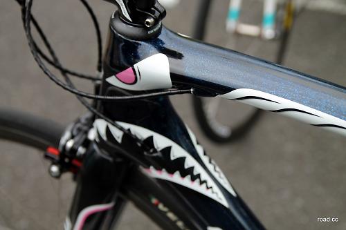 bike shark