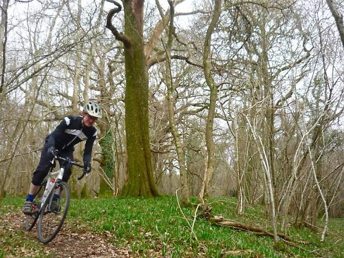 wiggle cyclocross