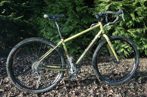 salsa fargo 29er bike forest service green xl