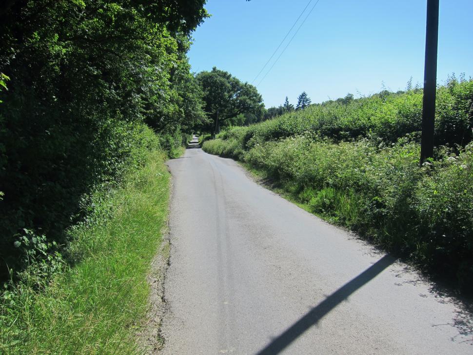 Coffee Ride with komoot - Sussex Lanes - Burnthouse Lane 91