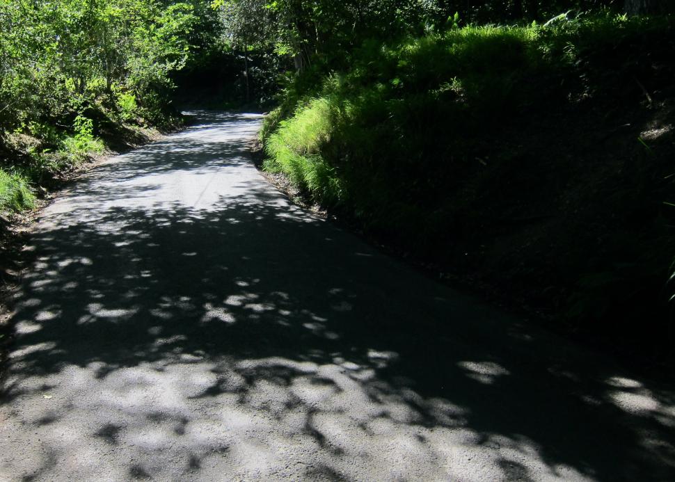 Coffee Ride with komoot - Sussex Lanes - Cob Lane 55