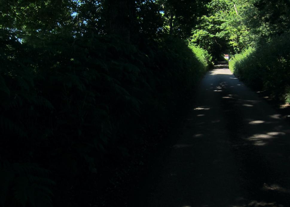 Coffee Ride with komoot - Sussex Lanes - Longhouse Lane 108