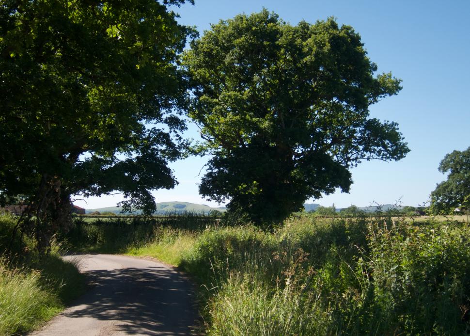 Coffee Ride with komoot - Sussex Lanes - Pomper Lane 125