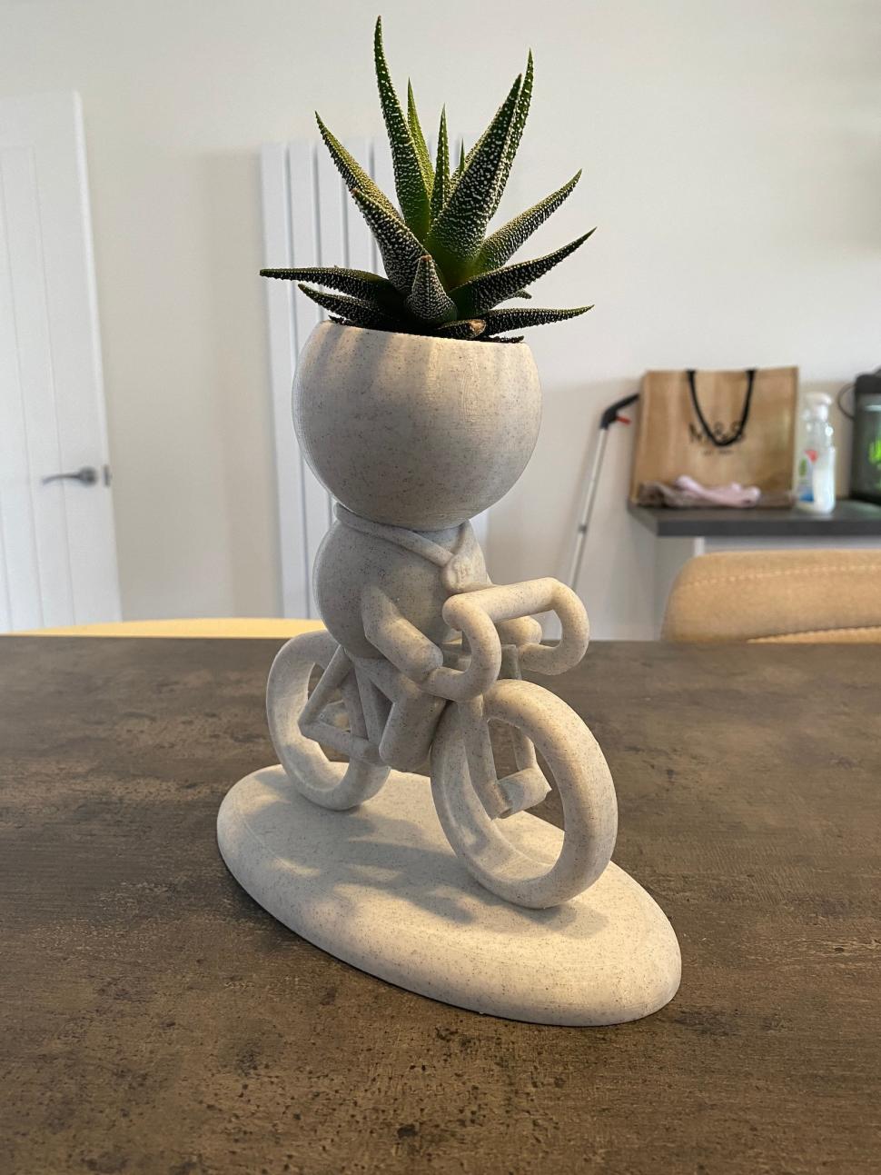 Cyclist Succulent Holder.jpeg