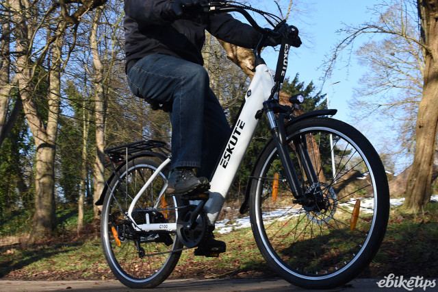Eskute C100 (19).JPG