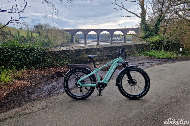 Himiway Zebra e-bike (10).jpg