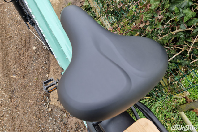 Himiway Zebra e-bike (3).jpg
