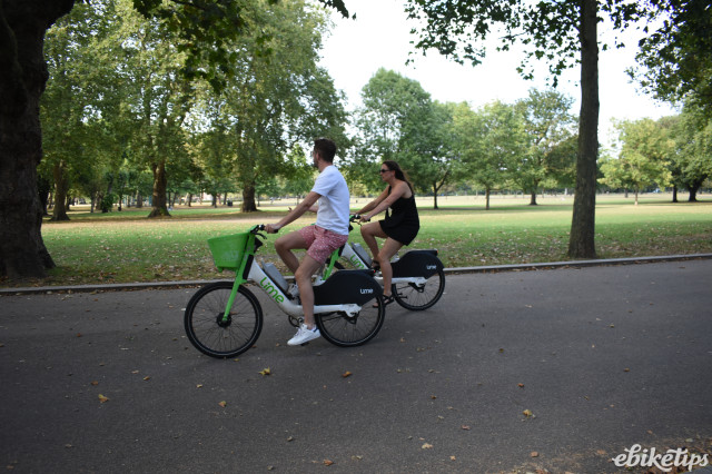 Lime (3).JPG