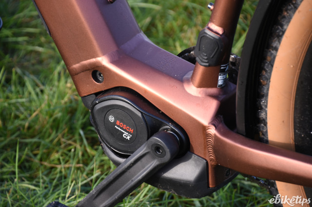 Megamo Reach HT (11).JPG