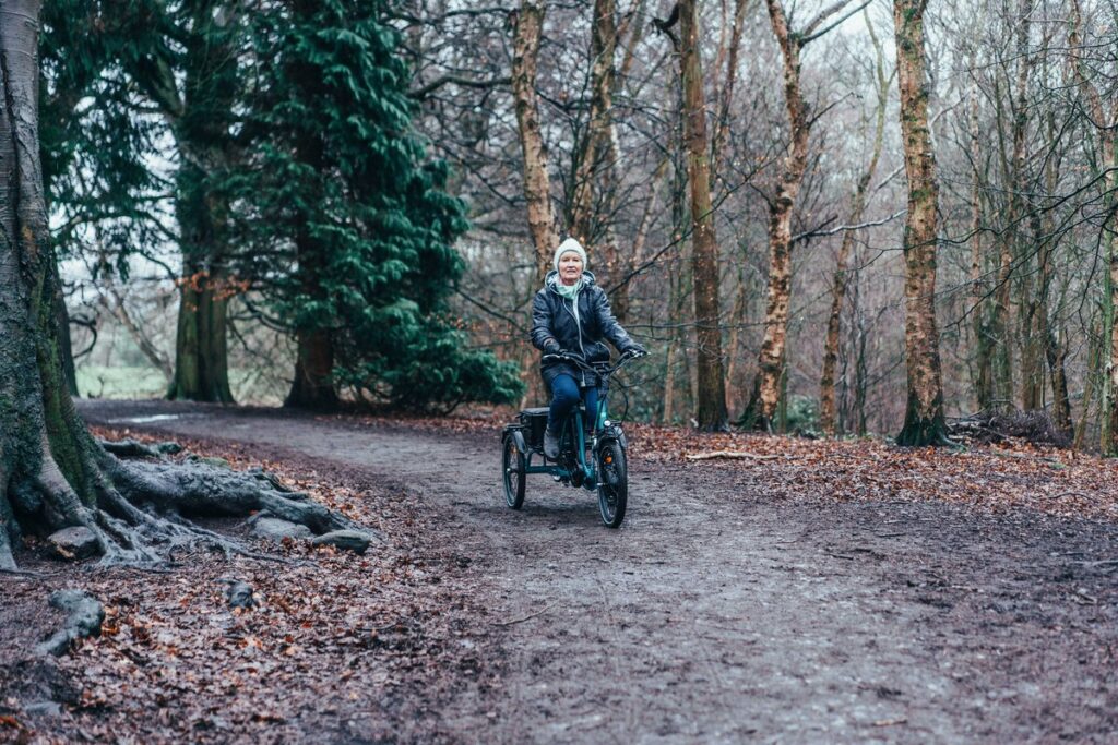E-trike