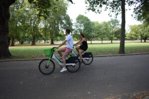 Lime (3).JPG