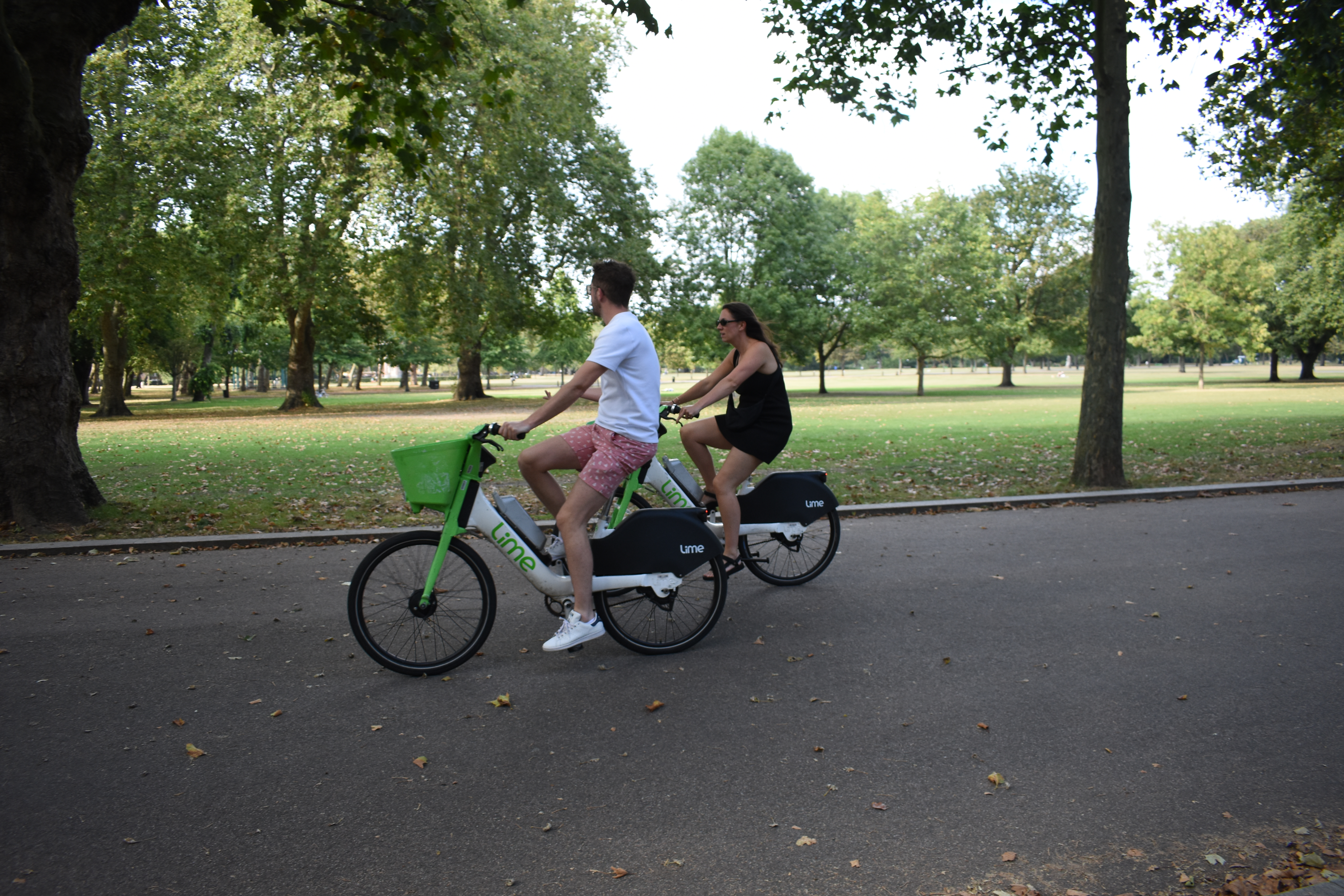Lime (3).JPG