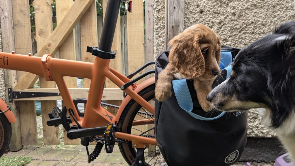 R&eacute;my in the Estarli shopping bag