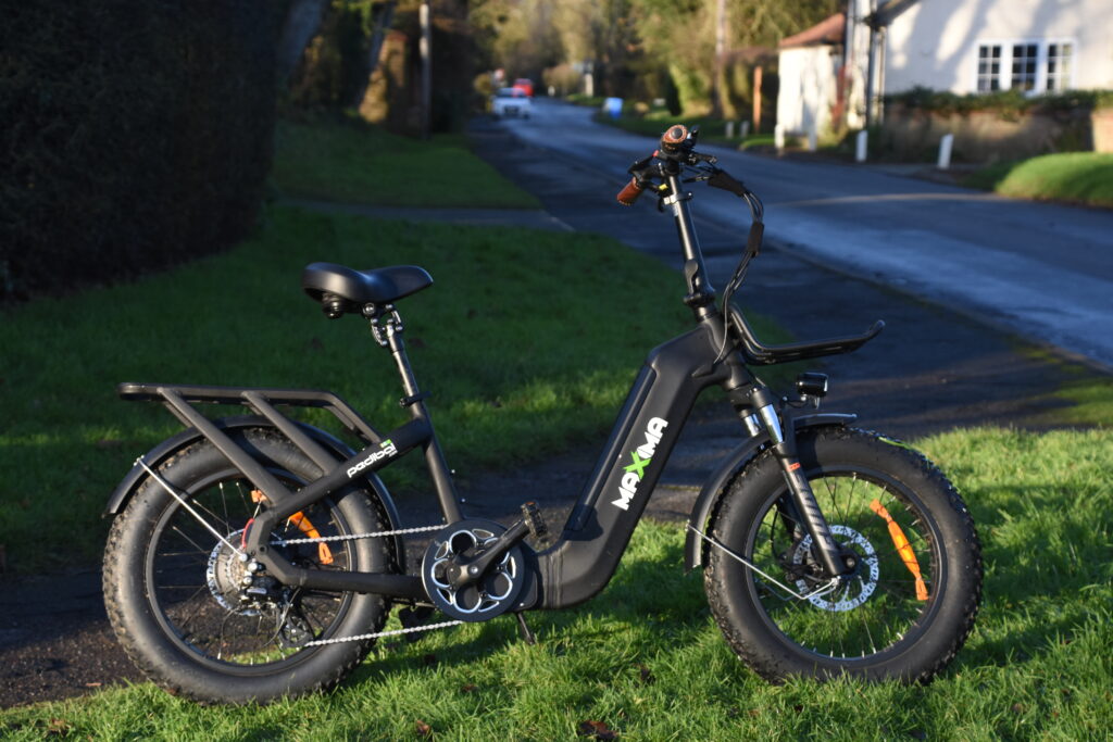 Pedibal Maxima (1).JPG