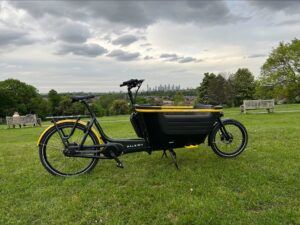 Raleigh Stride 2 Family Cargo Bike
