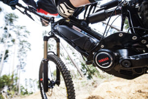 Yamaha MY20 PW-X2 (3).jpg