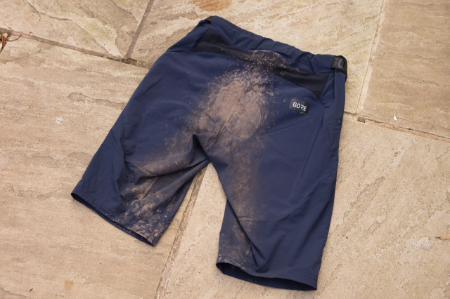 2023 gore Fernflow men's shorts rear.jpg