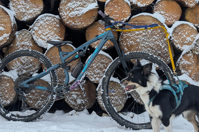 Bikejoring (4).jpg