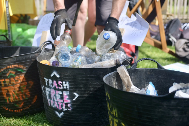 Grizedale - (C) Chris Goodman.jpeg