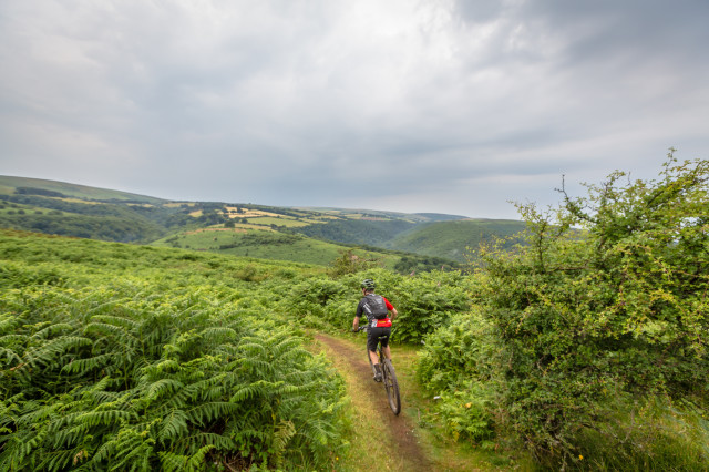 MTB Marathon Minehead18 (570 of 963).jpg
