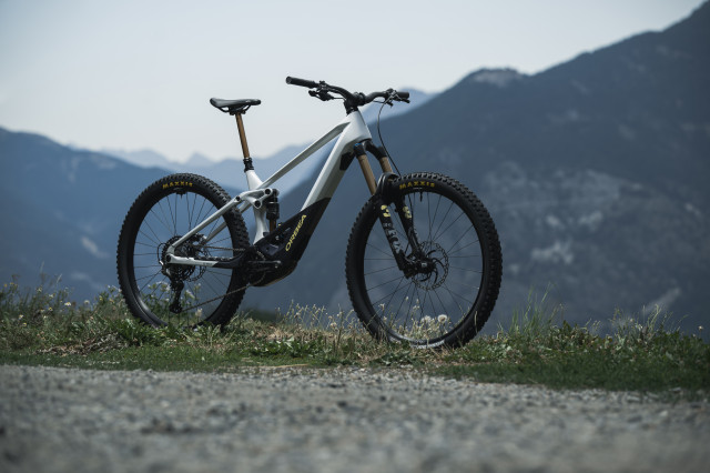Orbea Wild 2023 Main.jpg