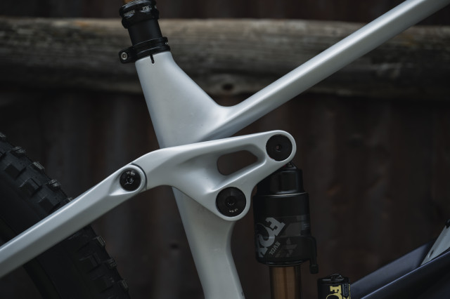 Orbea Wild 2023 pivot.jpg