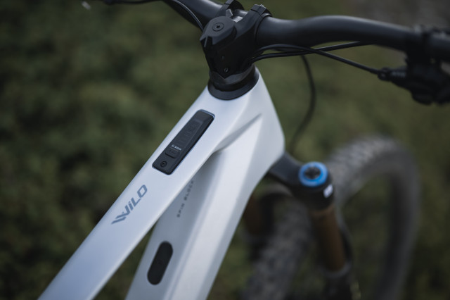 Orbea Wild 2023 (5).jpg
