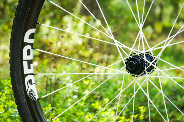 2023 Berd Sparrow wheelset spokes