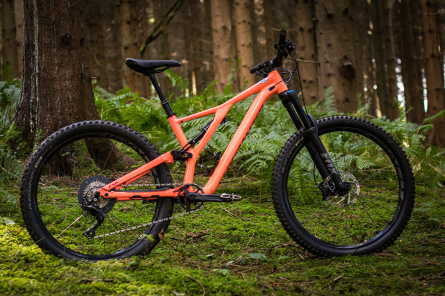 Specialized Stumpjumper Women's Comp -16 Detail whole bike.jpg