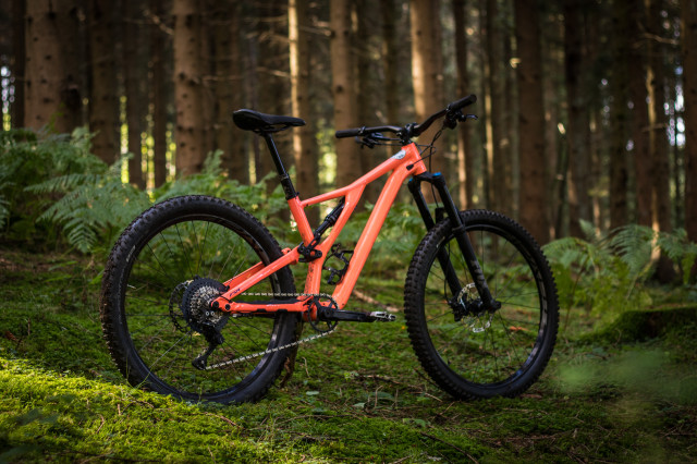 Specialized Stumpjumper Women's Comp -19 Detail whole bike.jpg