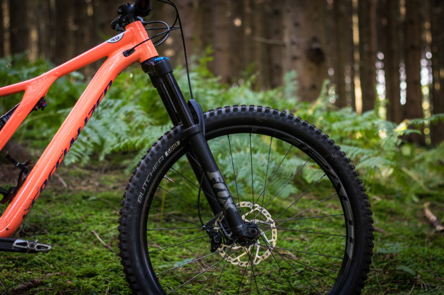 Specialized Stumpjumper Women's Comp -27 Detail fork.jpg