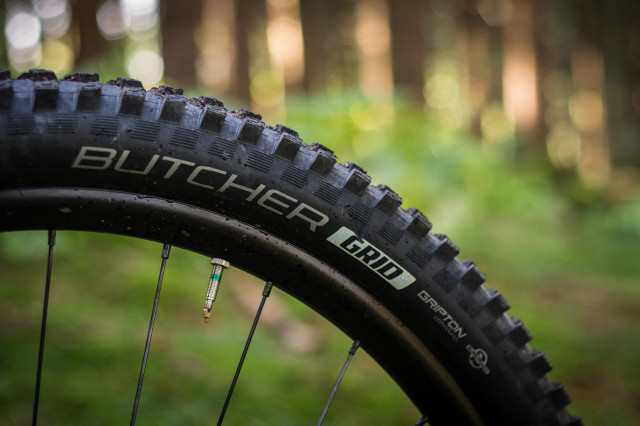 Specialized Stumpjumper Women's Comp -28 Detail front tyre.jpg
