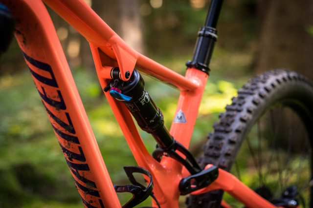 Specialized Stumpjumper Women's Comp -33 Detail Shock.jpg