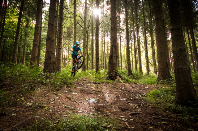 Specialized Stumpjumper Women's Comp -4 riding .jpg