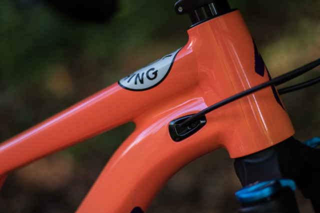Specialized Stumpjumper Women's Comp Alloy 27.5 cable routing-18.jpg
