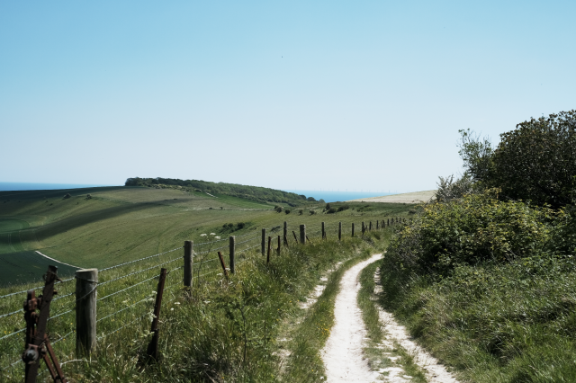 Wild Cycles x Mason SDW (2).png