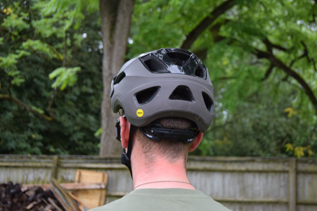 rail-headback.JPG
