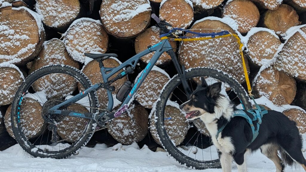 Bikejoring (4)