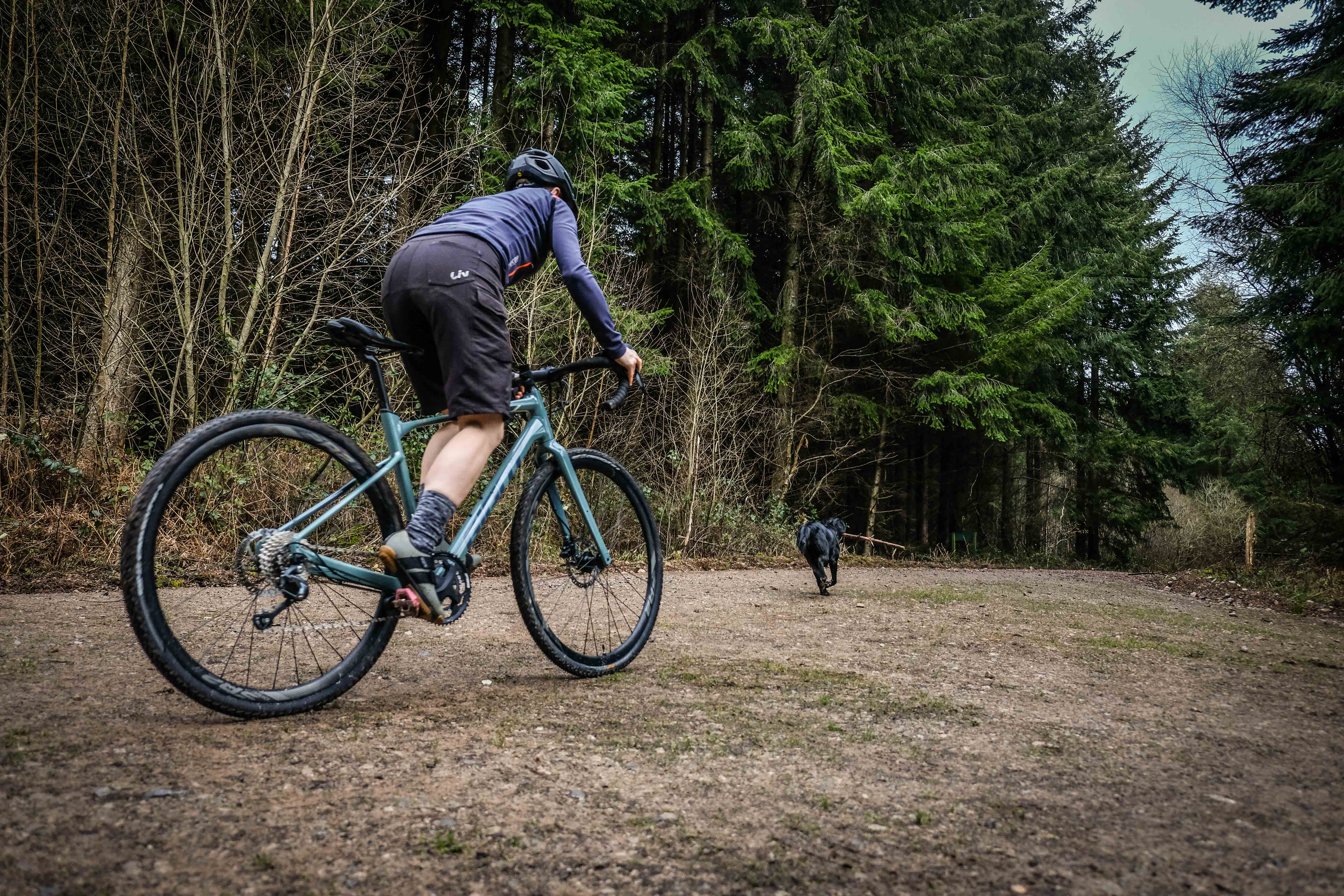 Best gravel bikes under 1,500 in 2024 - drop-bar machines that won't break  the bank - Cycling News | off-road.cc