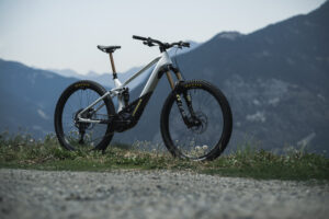 Orbea Wild 2023 Main.jpg