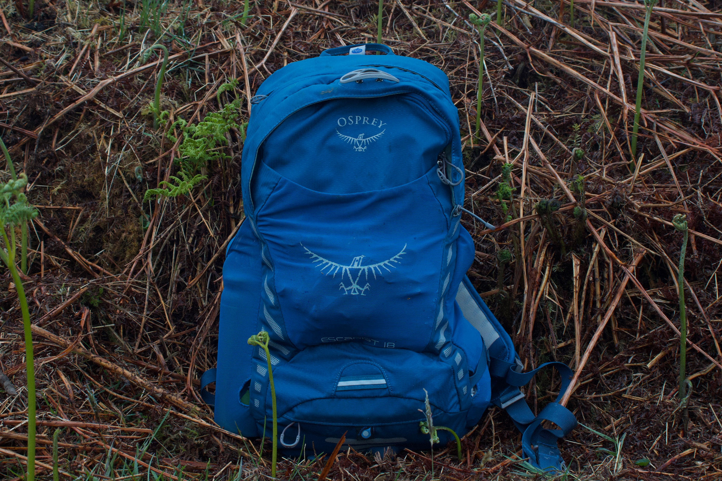 patagonia backpack ultralight Patagonia Ultralight Black Hole Tote Backpack-Dulse Mauve  REAL Watersports