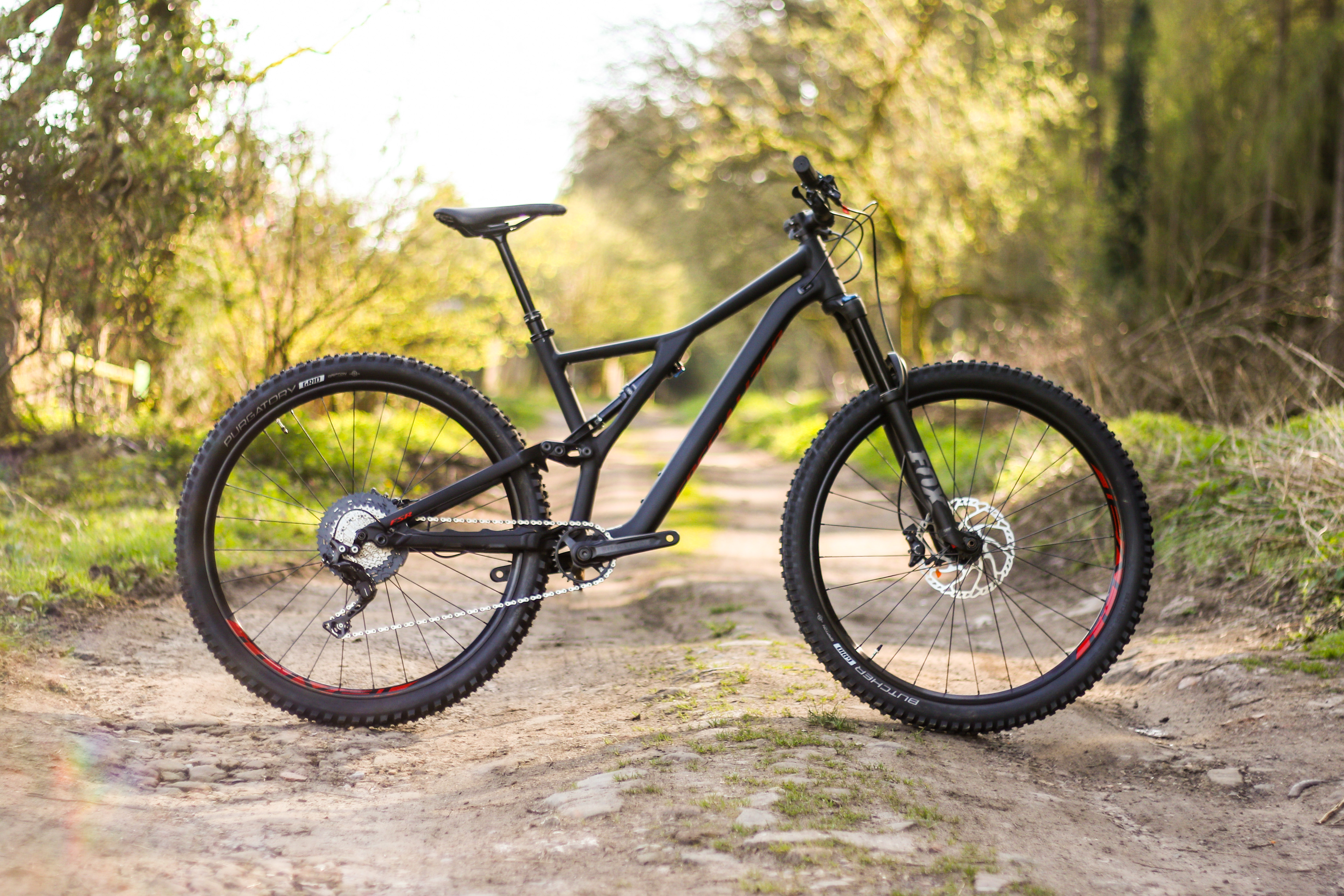 stumpjumper comp alloy 29 stumpjumper pro 2019