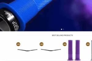 Fake DMR website