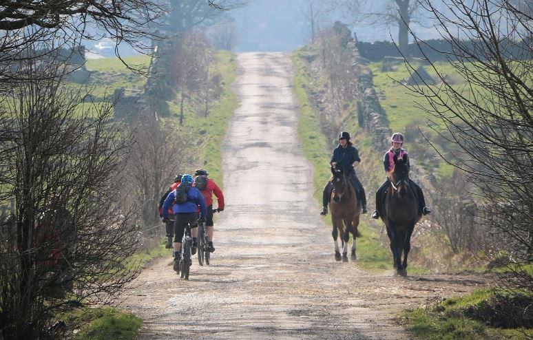 Cyclists and horses (licensed CC BY SA 2.0 on Flickr by Michael Podger)